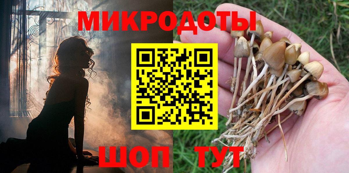 Боровичи  Галлюциногенные грибы Psilocybe  Вход с VPN 